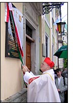 Fot. D. Woniczka