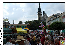 Fot. Rafał Tracz