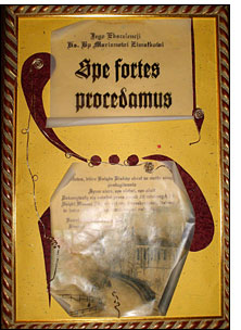 Fot. S. Marzena Wągrodzka