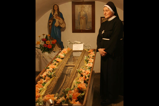 Fot. Alicja Trzeniowska