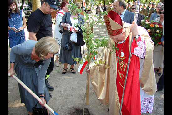 Fot. Andrzej Capiga