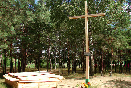 Fot. Andrzej Capiga