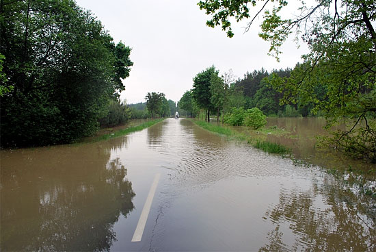 Fot. Caritas Diecezji Sandomierskiej
